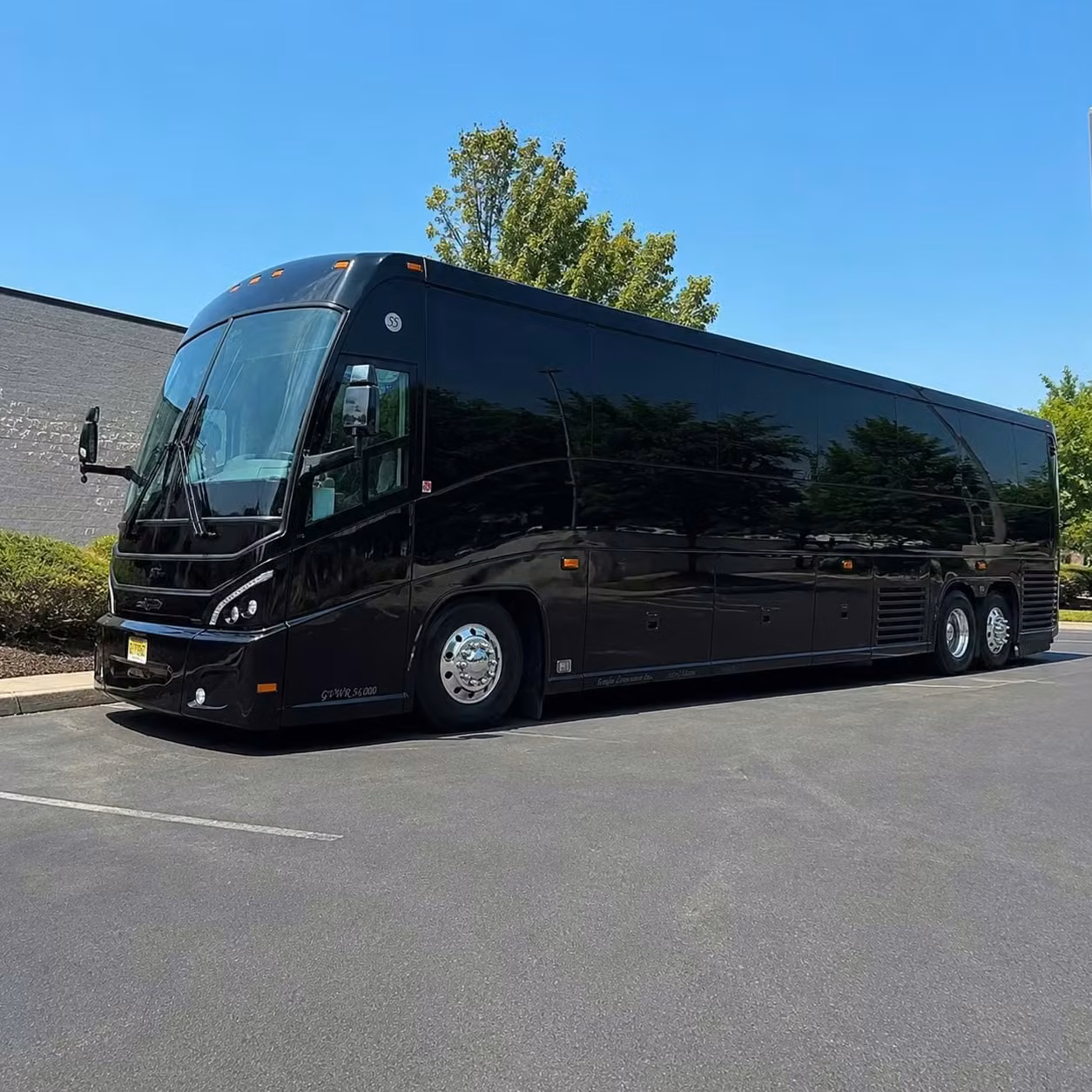 hollister 56 passenger charter bus rental